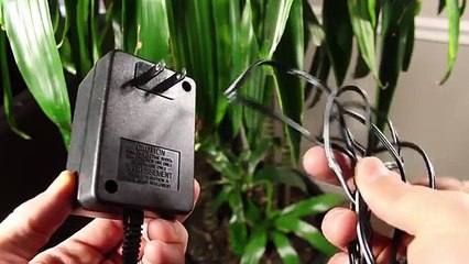 Rockin' Paper Plate Speaker