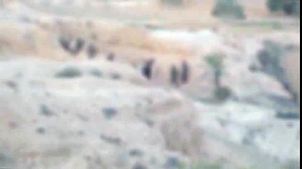 لحظة القبض على الإرهابي الجزائري من قبل الحرس والجيش التونسي في مواجهات قابس المسلحة وهو مصاب