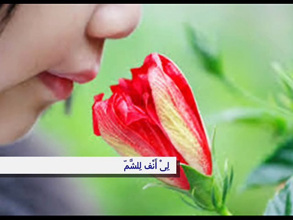 body parts in Arabic