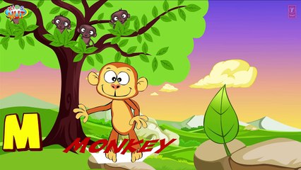 Learn Alphabets from K to O   Alphabet Journey   Kids Hut