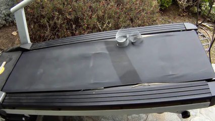 Epic - Slinky on a Treadmill