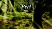 Davide Detlef Arienti - Perl - Perl (Epic Intense Orchestral Beautiful Choir Emotional 2015)