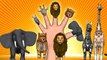 Animal Finger Family - Finger Family Song - 3D Animation Nursery Rhymes & Songs for Childr