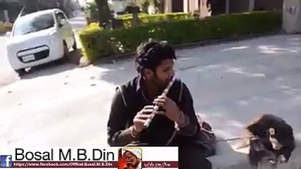 must watch amazing man video music