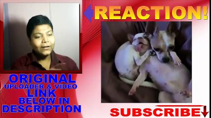 Taking care of your drunk friend! REACTION!