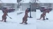 Hardworking T-Rex Tries To Shovel Snow With Its Short Arms
