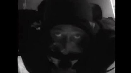 월드카지노び▣..TNT900、COM..㏘に바카라후기ざ바카라몬