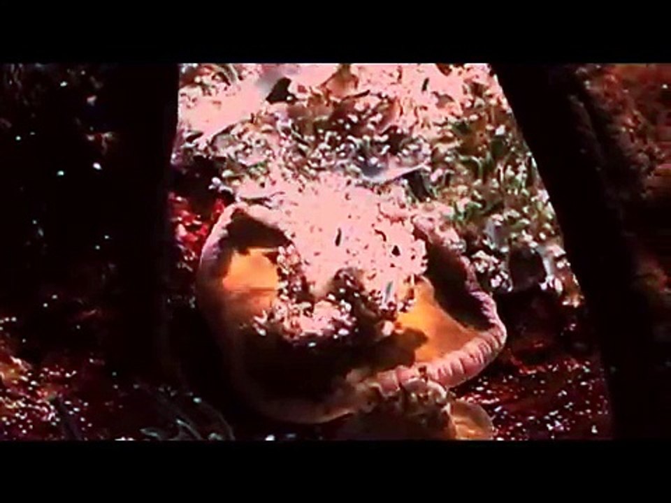 Abel Korzeniowski - Stillness of the Mind (Video: Dimitris Papi - Ciners8)
