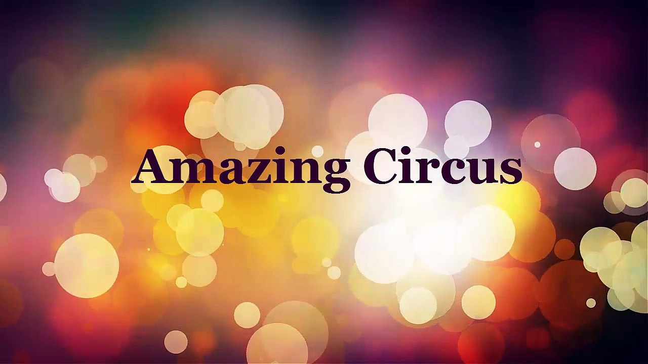 Amazing motorcycle and car circus ,funny videos, lol, funny clips, comedy movies