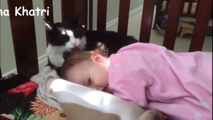 Cat licks the baby's head