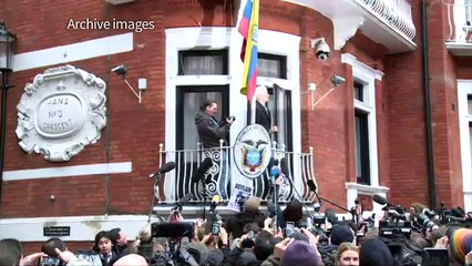 Ecuador government supports Assange after UN ruling