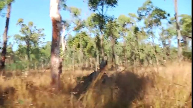 US Army Show Force in Beautiful Landscape - US Soldiers in Action During Large Training Exercise