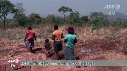 Zimbabwe declares 'state of disaster' over drought