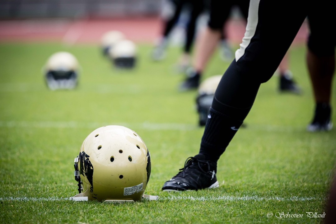 CASQUE DE DIAMANT 2015 - COUGARS VS BLACK PANTHERS