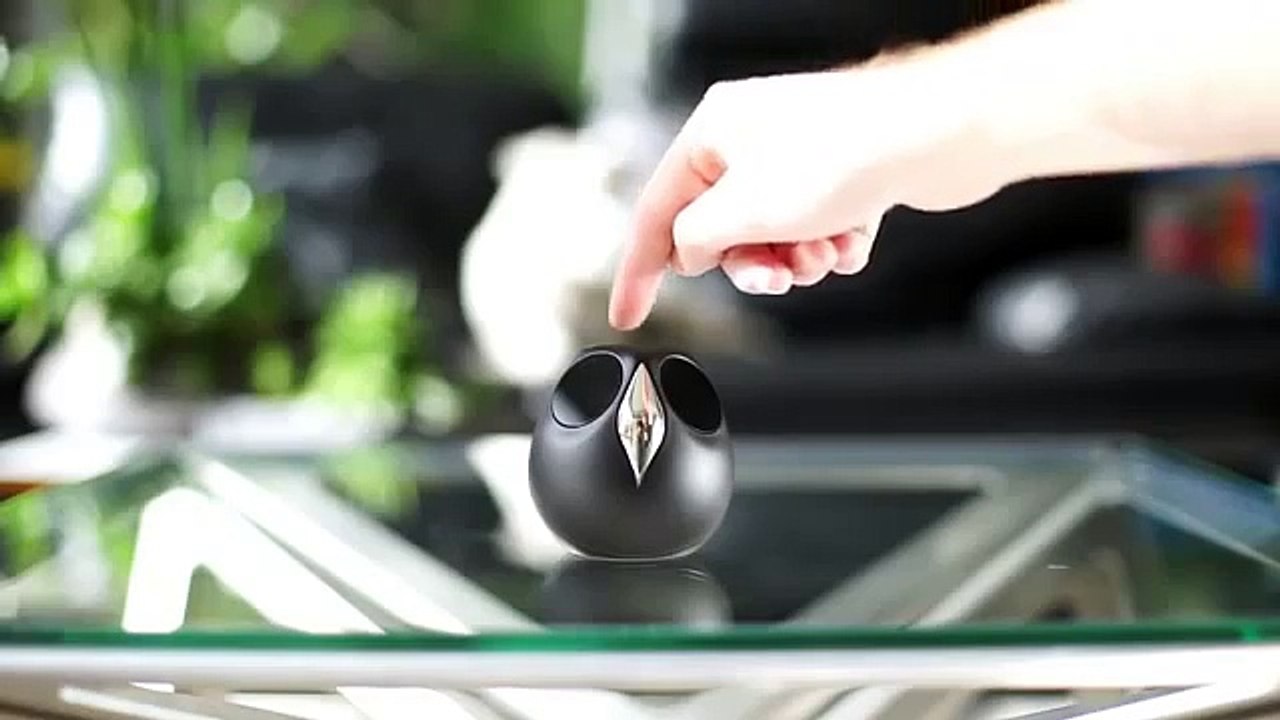 Spy Bird Camera , spy video camera , Camera Spy ,Spy camera, Spy camera Video (Funny Videos 720p)