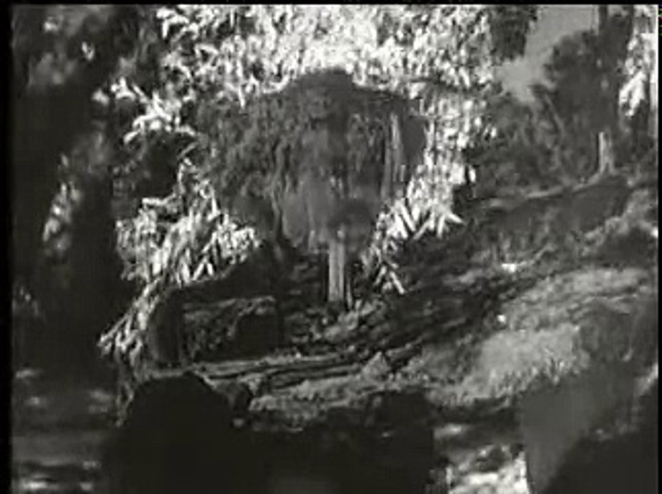 PEDRO INFANTE   EL AZOTON