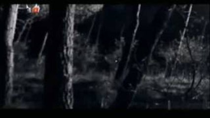 Teoman - Çoban Yıldızı