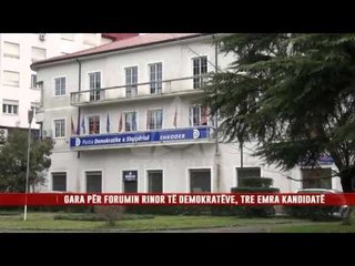 GJORGJETA HILA LARGOHET NGA DREJTIMI I FORUMIT RINOR TË PD