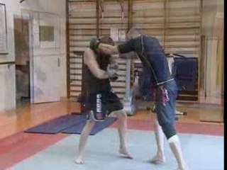 Pieds-poings-Projections