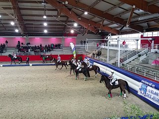 Du horseball tout le week-end à Saint-Lô !