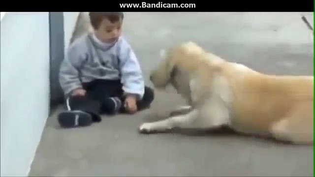 Посмотрите обязательно. ТРОГАТЕЛЬНО ДО СЛЕЗ