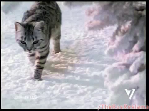 Реклама Вискас Новогодняя - Танец Феи Драже