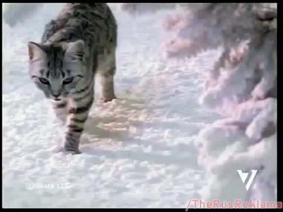 Реклама Вискас Новогодняя - Танец Феи Драже