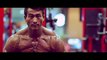 'Aesthetic To The Max' Bodybuilding And Fitness Motivation 2015 [HD]