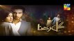 Gul-e-Rana Episode 15 Promo on Hum Tv 6th February 2016 -