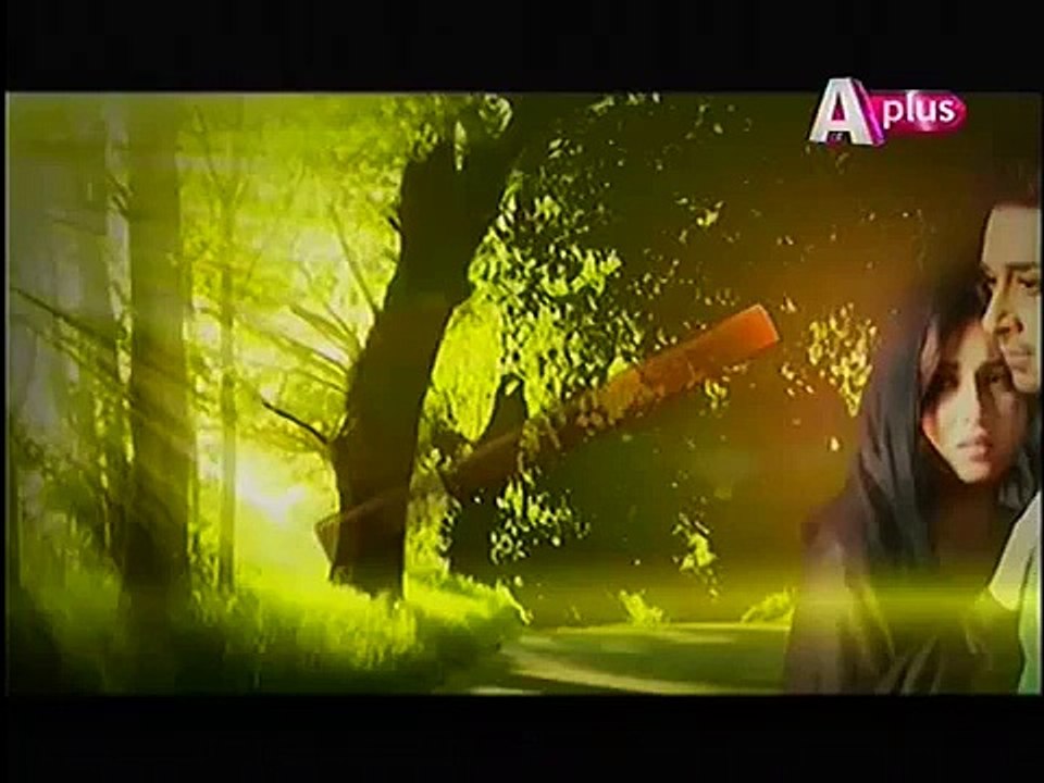 Bheegi Palkein Next Episode 14 Promo