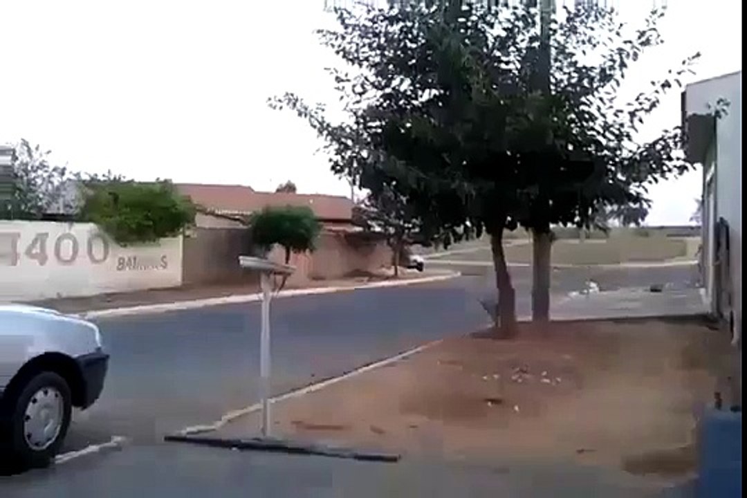 BROMA DEL BILLETE (360p)