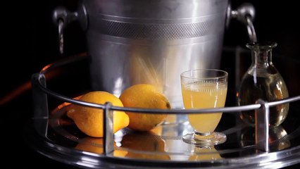 Learn How to Mix the French 75 Cocktail - Pottery Barn