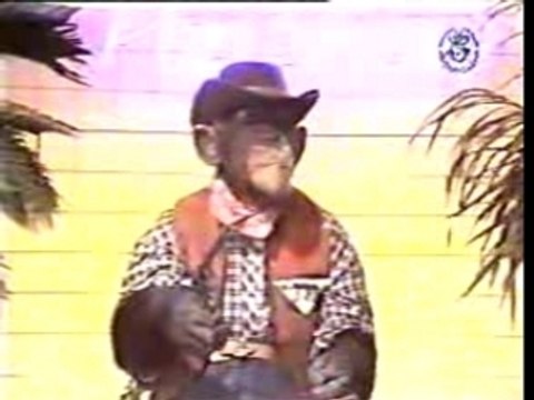 Bila houdoud 8-doublages divers