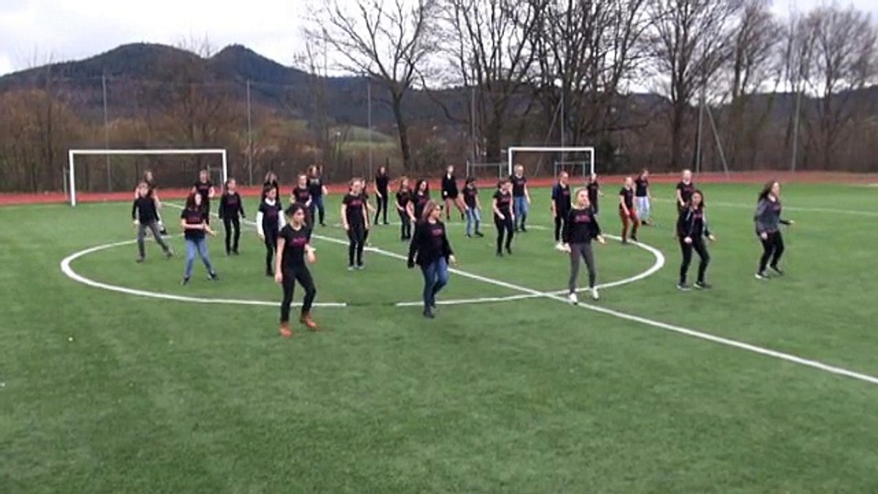 FLASHMOB Collège Vautrin Lud