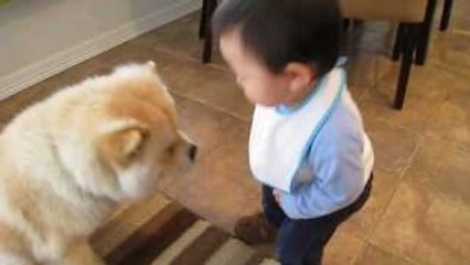 Baby making interesting conversation with dog