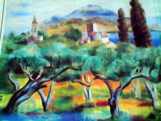 Les fleurs de ton jardin(à Alger)