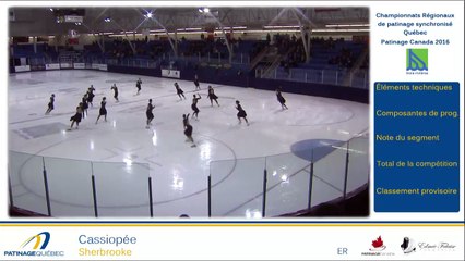 Synchro2016- Colisée. Évé. 8 (31)