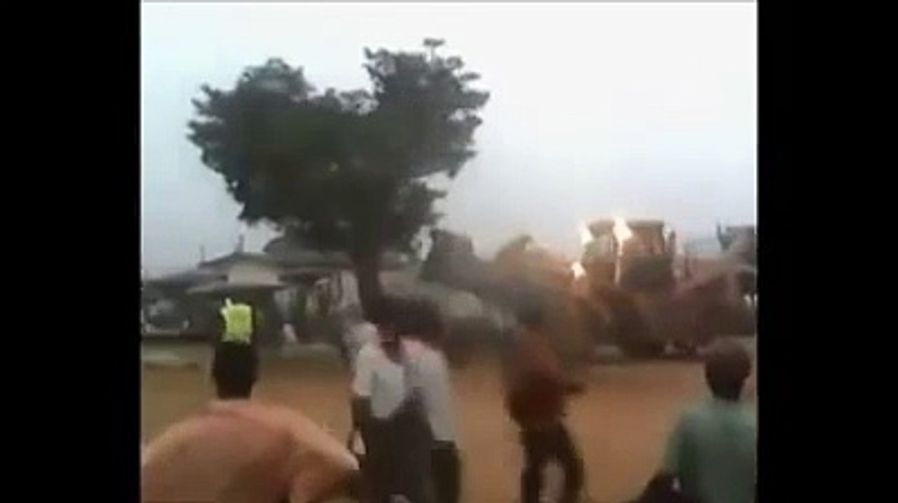 شجرة مسكونة بعائلة من الجن .. تعود لمكانها بعد أن اقتلعت..!!