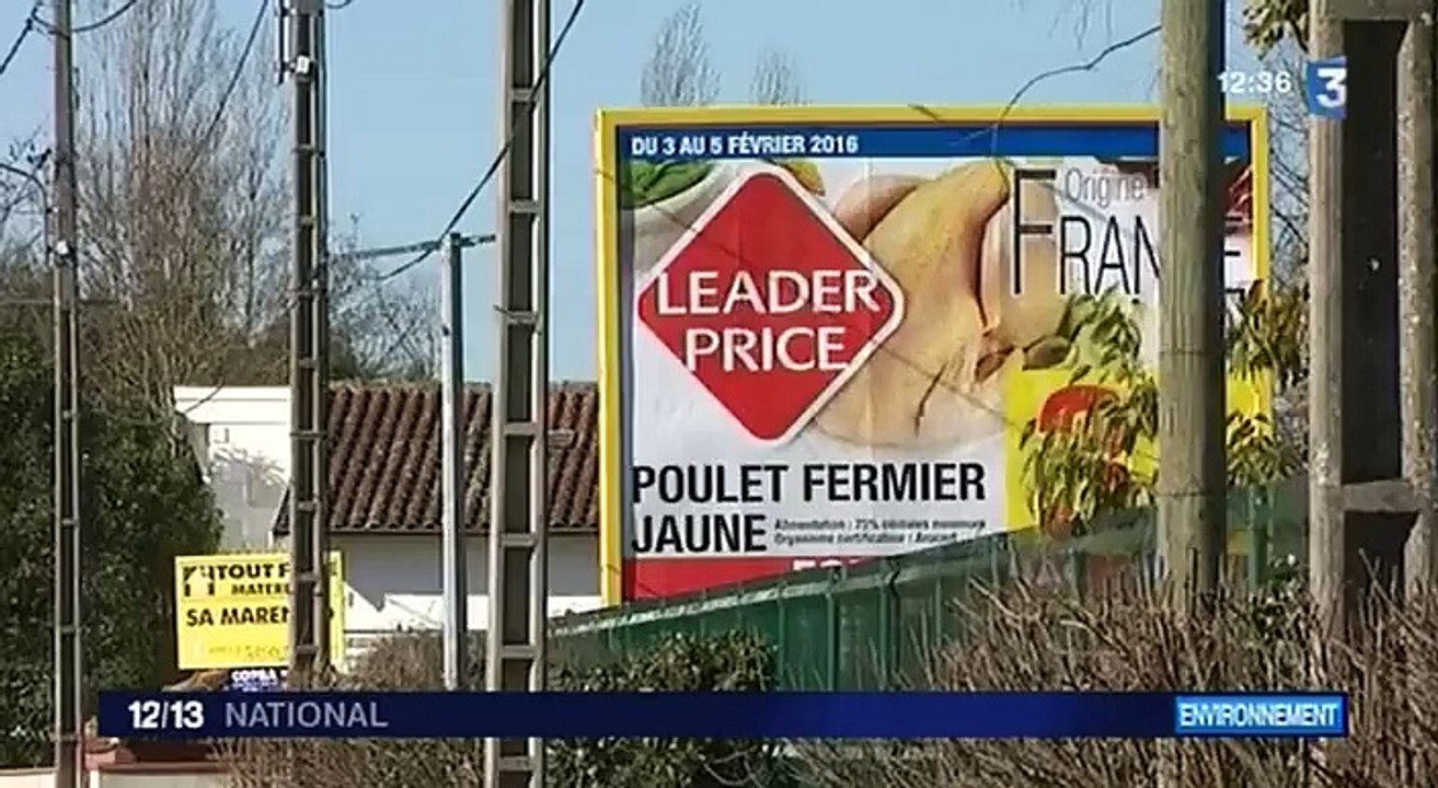 Les panneaux publicitaires pourraient bientôt arriver dans les petites villes
