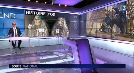 Les experts du musée de l'Homme sur les traces de nos ancêtres