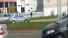 По городу Ижевск гуляет лось!
