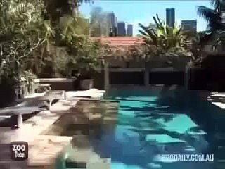 Tallest Woman In The World HD اطول امرأة في العالم