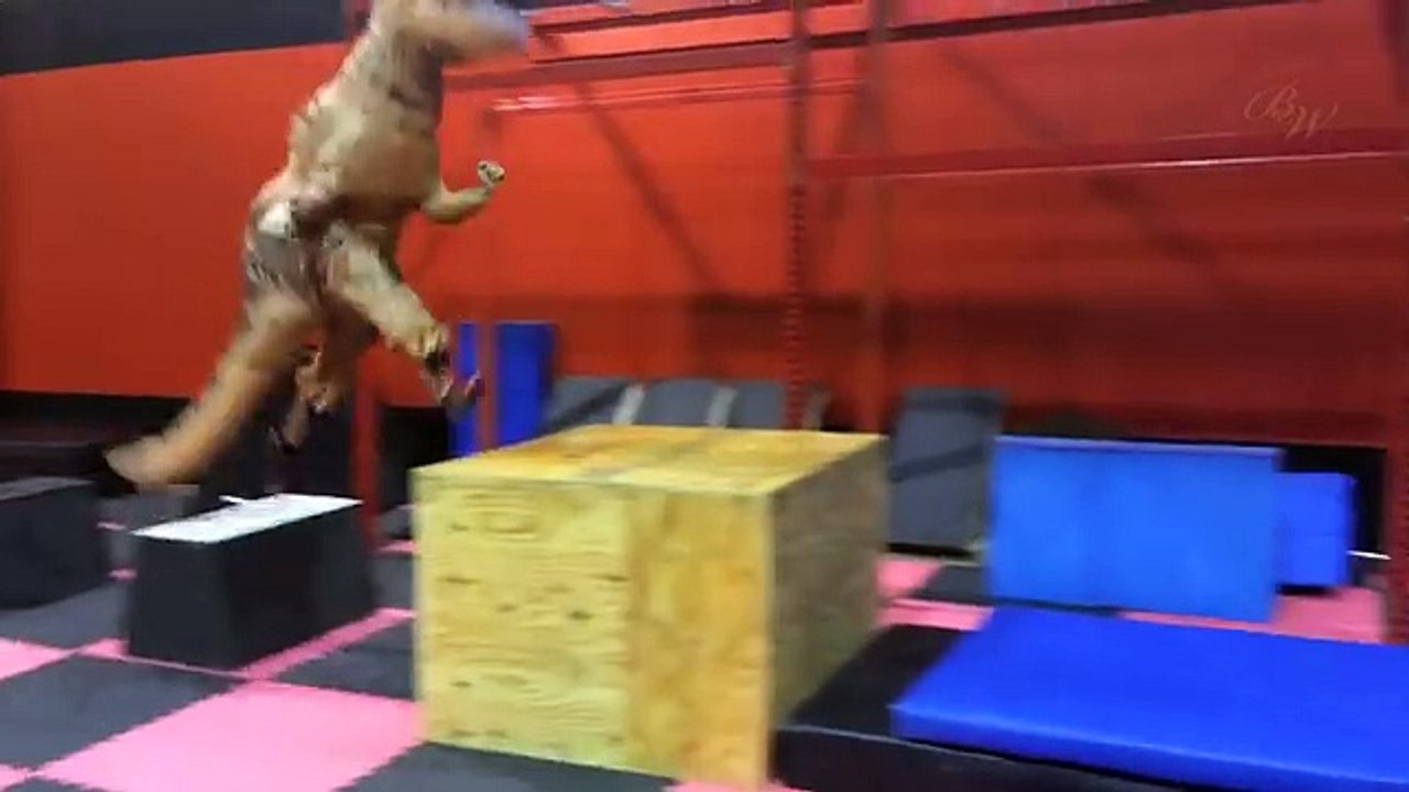 Jurassic Parkour