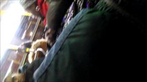 black guy yell at me at m14a bus for move my bag at new york city nyc his stop av a e 5 st