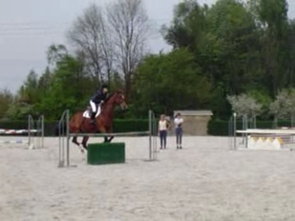 Galop 6 (2)