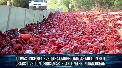 10 Strangest Ocean Phenomena You Won't Believe!