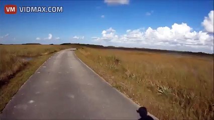 CYCLIST IS SICK OF LOGS OBSTRUCTING BIKE PATH...OH WAIT IT'S MOVING