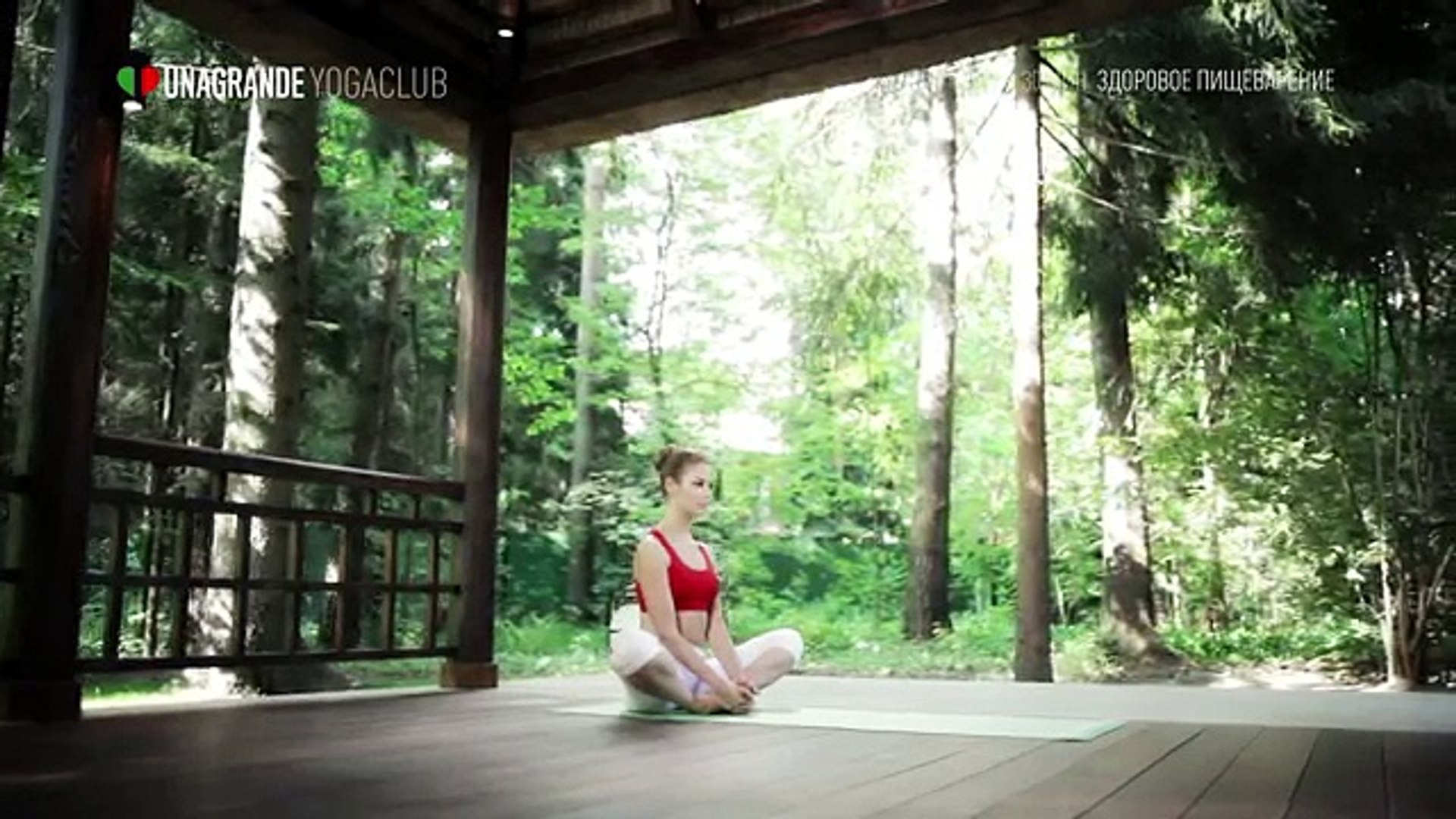 ⁣Йога для начинающих. Комплекс упражнений для здорового пищеварение