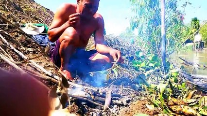 Về miền Tây xem dỡ chà bắt cá