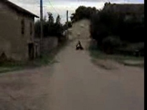 Un pot Leovince de Vivacity sur un Ludix